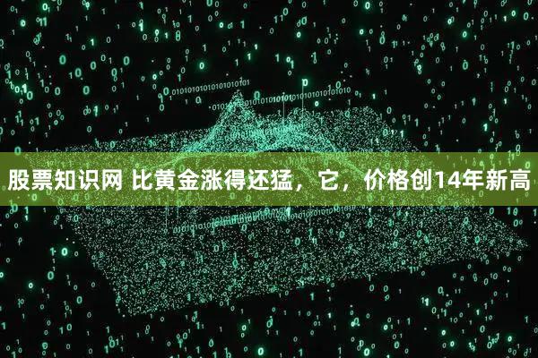 股票知识网 比黄金涨得还猛，它，价格创14年新高