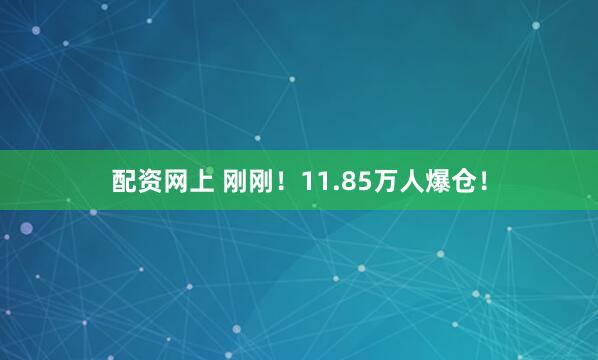 配资网上 刚刚！11.85万人爆仓！