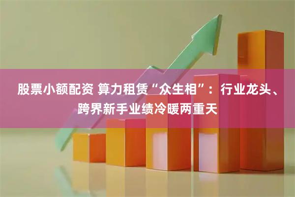 股票小额配资 算力租赁“众生相”:行业龙头、跨界新手业绩冷暖两重天